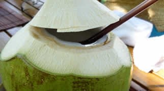 Young coconut · How to taste in Weh Island · Aceh · Sumatra · Indonesia